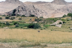 Pag-6